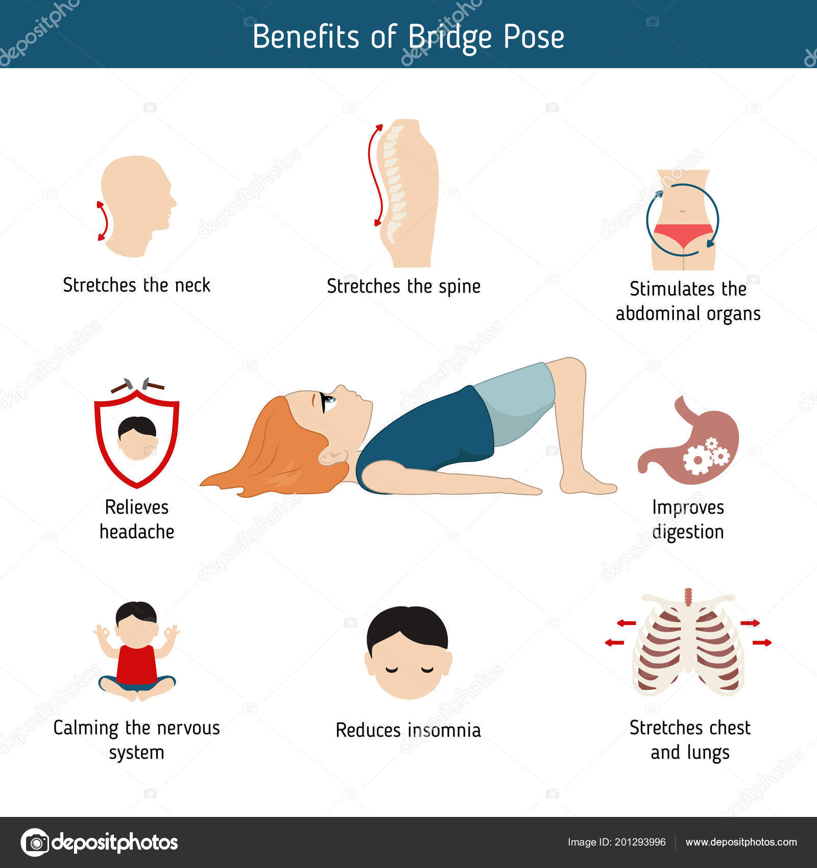 Yogalogy - Bridge pose is one of the important supine yoga poses which is  helpful in the treatment of thyroid, back pain, neck pain, problems related  to the nervous system, and many