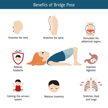Yoga Infographics poz. Köprü Yoga Faydaları poz. Karikatür tarzı illüstrasyon izole beyaz arka plan üzerinde.