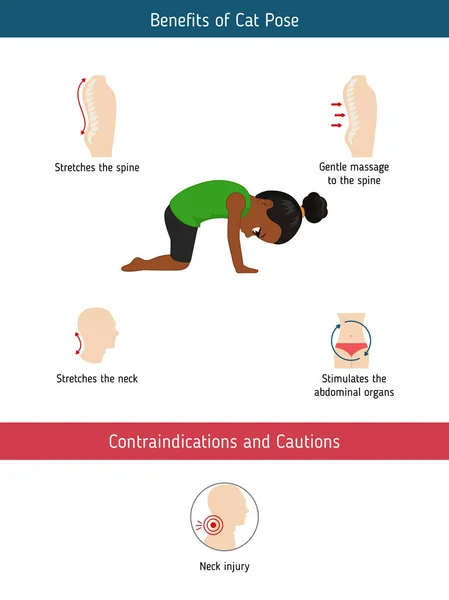 Infografías Pose Yoga Beneficios Contraindicaciones Cat Yoga Pose Ilustración Estilo — Vector de stock