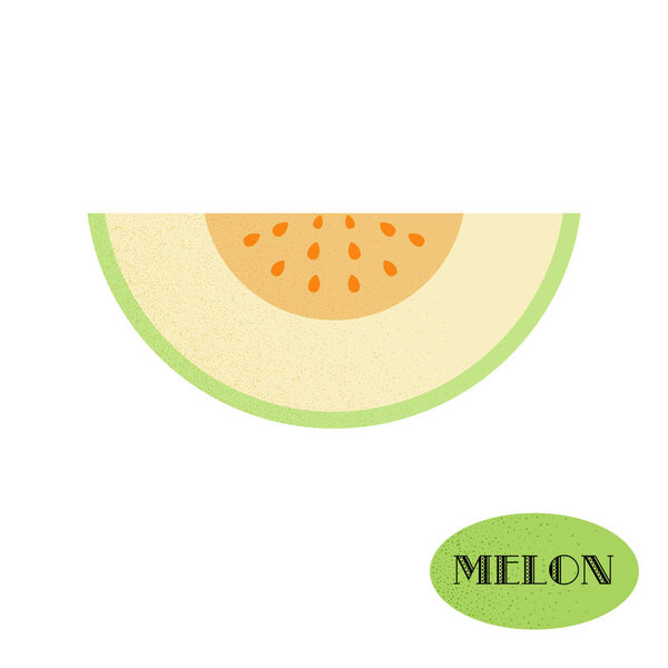 Summer fruits. Vector melon with dots. White background.