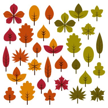 Parlak sonbahar yaprakları kümesi. Beyaz arka plan.