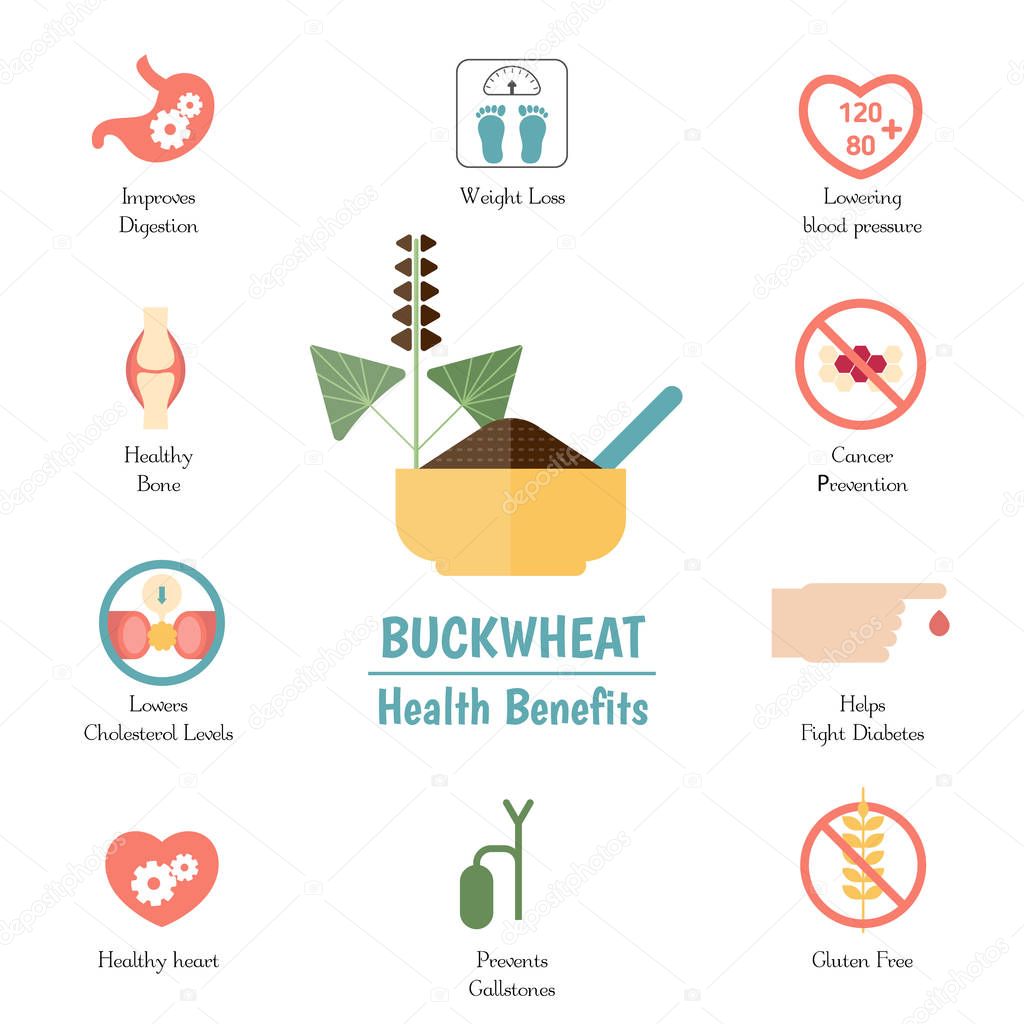 Foods infographics. Buckwheat.