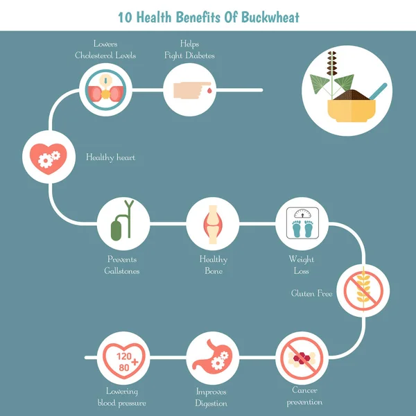 Livsmedel Infographics. Bovete. — Stock vektor