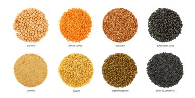 Beyaz arka plan üzerinde izole farklı tahıl (nohut, mercimek, buğday, barbunya fasulyesi, mung, amaranth ve bulgur) yuvarlak biçim, yükseltilmiş üstten görünüm, yakın