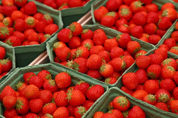 Nahaufnahme Frischer Roter Reifer Erdbeeren Papiercontainerboxen Auf Dem Einzelhandelsdisplay Des — Stockfoto