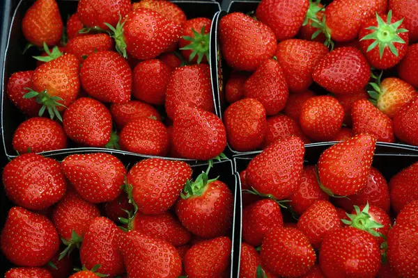 Nahaufnahme Frischer Roter Reifer Erdbeeren Papiercontainerboxen Auf Dem Einzelhandelsdisplay Des — Stockfoto