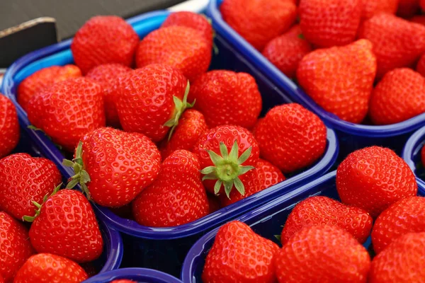 Nahaufnahme Frischer Roter Reifer Erdbeeren Plastik Containerboxen Auf Dem Einzelhandelsdisplay — Stockfoto