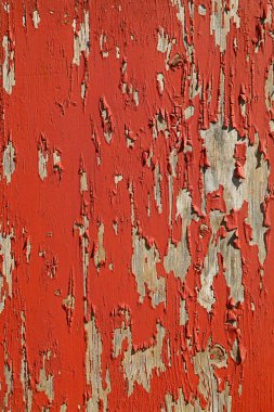 Arka plan doku kırmızı Vintage yakından ahşap rustik tarzı duvar flakesof boya ile yıpranmış