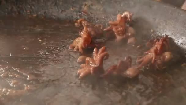 Úzké Vaření Mořských Baby Octopus Syčící Oleji Omáčkou Velkou Pánev — Stock video