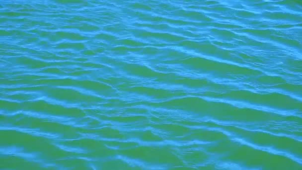 Onde Increspature Corrono Nel Vento Sulla Superficie Blu Del Lago — Video Stock