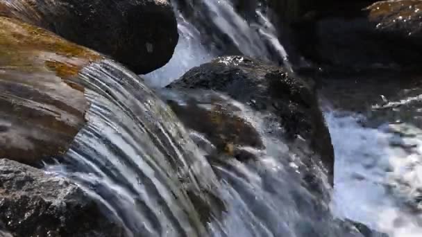 Close Van Beek Waterstraal Met Kleine Breuk Dagtijd Lage Hoek — Stockvideo