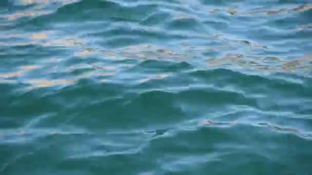 近づき ターコイズの青と緑の海の波や波紋の背景明るいフレア輝く水面上で実行 — ストック動画