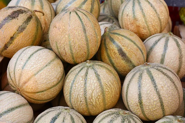Fermez Des Melons Cantaloup Frais Mûrs Tout Été Sur Affichage — Photo