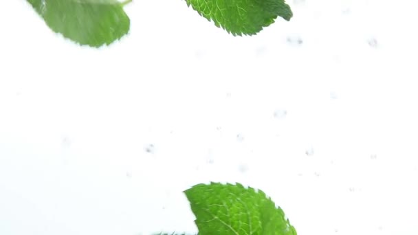 Chiudi Diverse Foglie Menta Verde Fresca Galleggianti Acqua Trasparente Trasparente — Video Stock