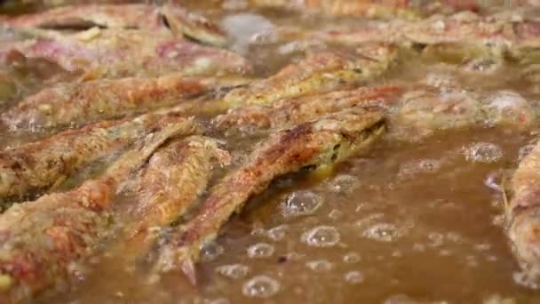 Закрыть Горячую Жареную Красную Рыбу Разогретом Сибасовом Масле Большой Сковороде — стоковое видео