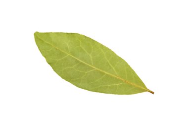 Beyaz arka plan üzerinde yükseltilmiş üstten görünüm, hemen üstüne izole bir yeşil defne yaprağı kadar kapatın