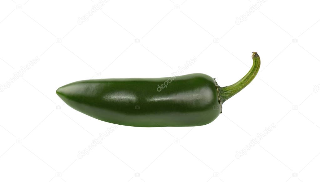 Close up one fresh green jalapeno hot chili pepper isolated on white background, low angle side view