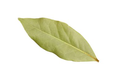 Beyaz arka plan üzerinde yükseltilmiş üstten görünüm, hemen üstüne izole bir yeşil defne yaprağı kadar kapatın