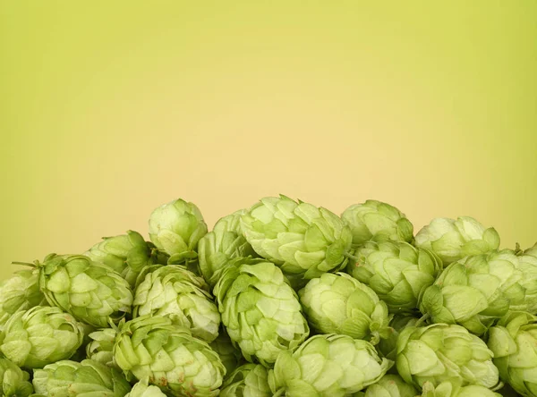 Nahaufnahme Haufen Frischer Grüner Hopfen Zutat Für Bier Oder Kräutermedizin — Stockfoto
