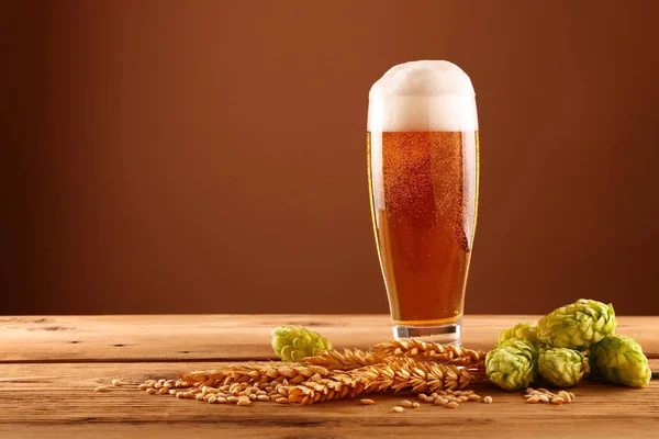 Großaufnahme Eines Bierglases Mit Schaum Und Blasen Grünem Hopfen Und — Stockfoto