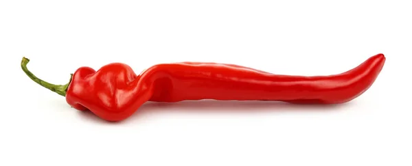 Jedno Celé Čerstvé Červené Papriky Paprika Izolovaných Bílém Pozadí Zblizka — Stock fotografie