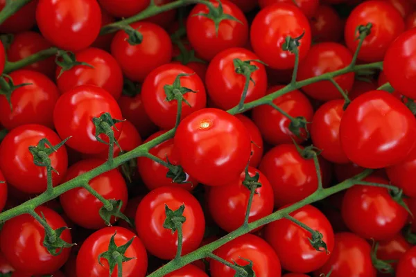 Cerrar tomates rojos cereza frescos en venta al por menor — Foto de Stock