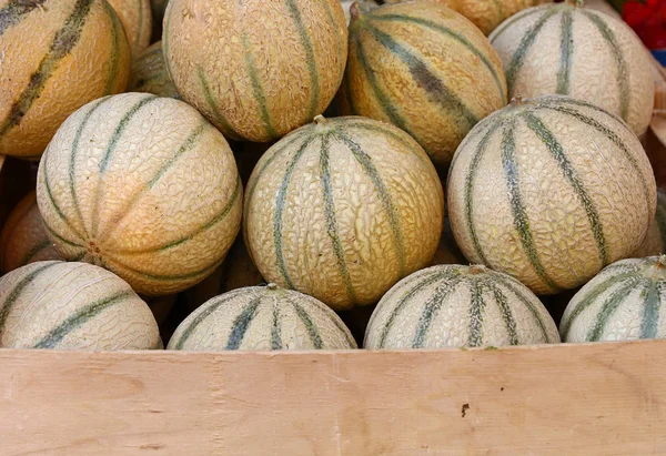 Fermez Des Melons Cantaloup Frais Mûrs Tout Été Sur Affichage — Photo