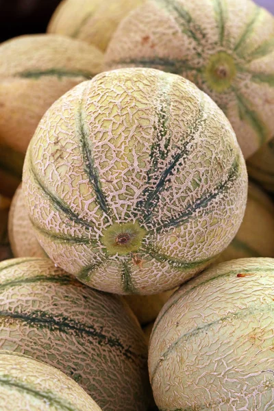 Fermez Des Melons Cantaloup Frais Mûrs Tout Été Sur Affichage — Photo