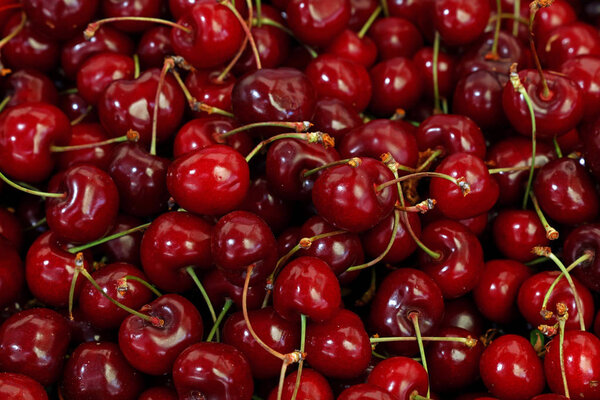 Heap of fresh red ripe sweet black cherry berries on retail market stall display, close up, high angle view