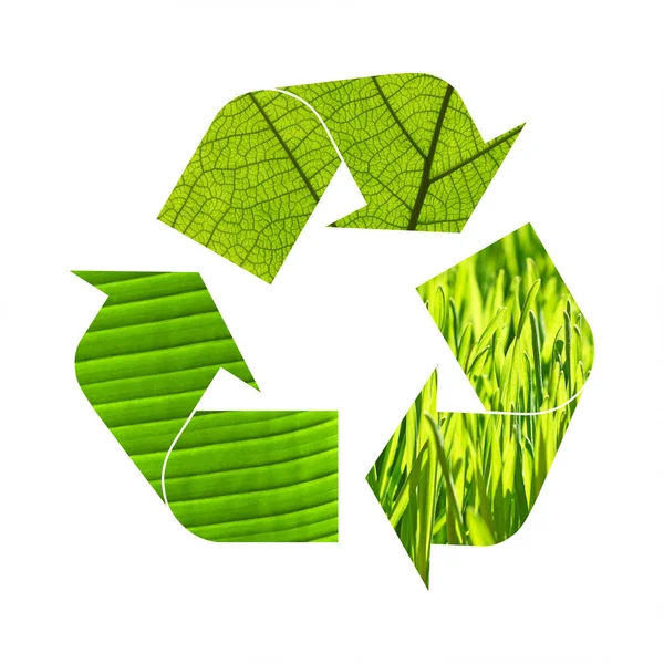 Illustratie Recycling Symbool Van Groen Gras Bladeren Geïsoleerd Witte Achtergrond — Stockfoto