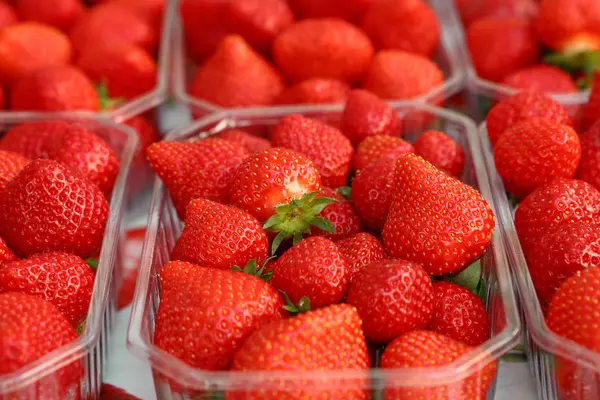 Nahaufnahme frischer Erdbeeren im Einzelhandel — Stockfoto