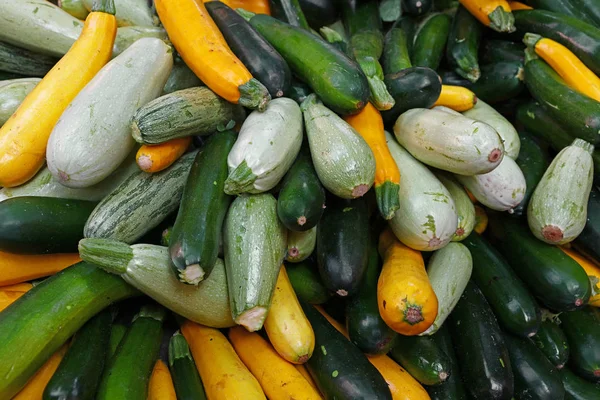 Close up fresh zucchini on retail display — Stock Photo, Image