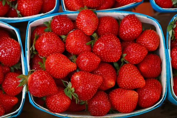 Nahaufnahme frischer Erdbeeren im Einzelhandel — Stockfoto