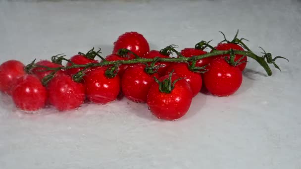 Close Washing Bunch Fresh Red Cherry Tomatoes Shower Water — Stock Video