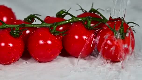 Lavando ramo de tomates cereja vermelhos com água — Vídeo de Stock