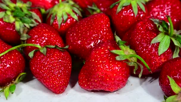 Laver la fraise mûre rouge avec de l'eau — Video