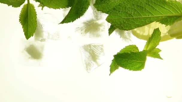 Close-up van ijsblokjes, bladeren, citroen in mojito mint — Stockvideo