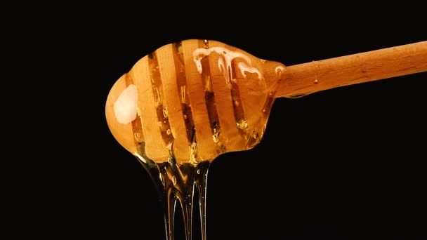 Uzavřete med, který teče z dřevěného naběpku na černém — Stock video
