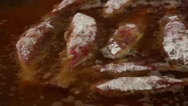 Close up cozinhar peixe frito mullet vermelho em óleo — Vídeo de Stock