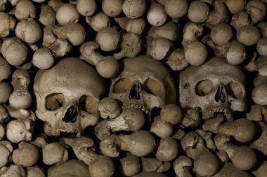 Eski insan kafataslarının ve kemiklerinin yakın çekim