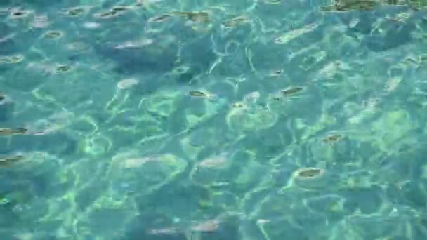 Bliska tło Szmaragdowej zieleni i turkusowe fale morskie biegną na powierzchni wody widok z wysokim kątem — Wideo stockowe