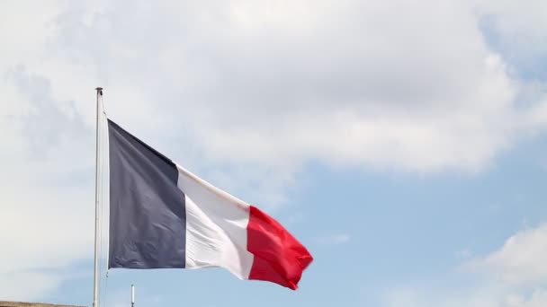 Bandera de Francia ondeando en el viento — Vídeo de stock