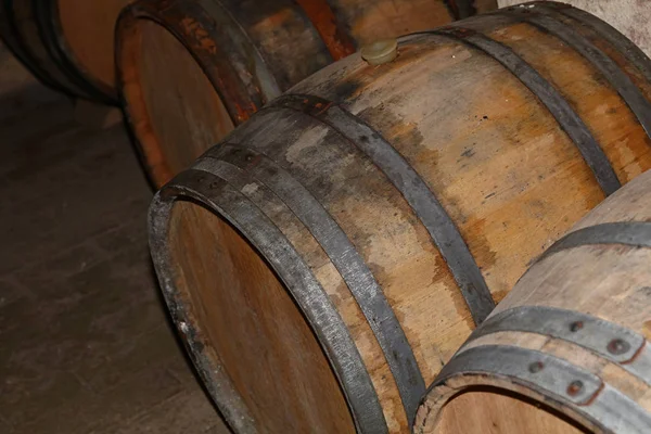 Fileiras de barris de vinho de madeira de carvalho na adega — Fotografia de Stock