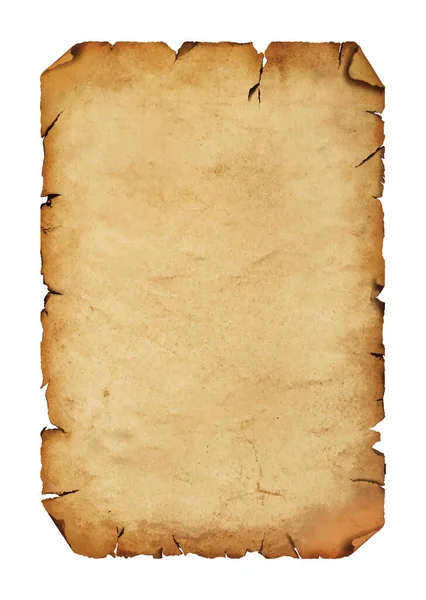 Vector Illustration Blank Old Antique Vintage Brown Paper Parchment Scroll — Stock Vector