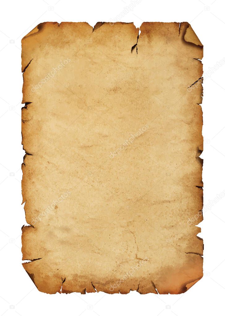 Vector illustration of blank old antique vintage brown paper parchment scroll with copy space