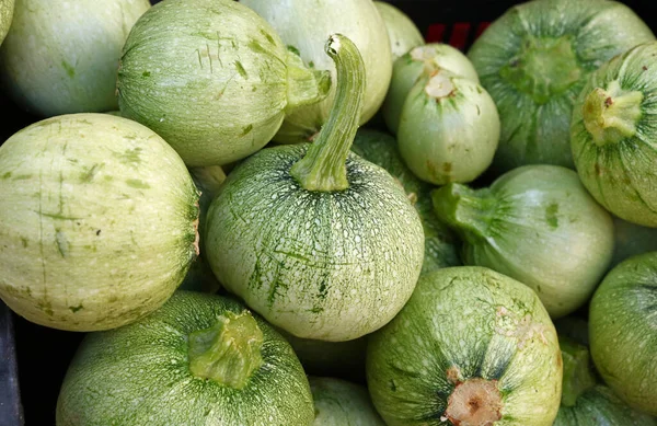 Fermer Nouveau Bébé Vert Frais Courgettes Rondes Sur Affichage Détail — Photo