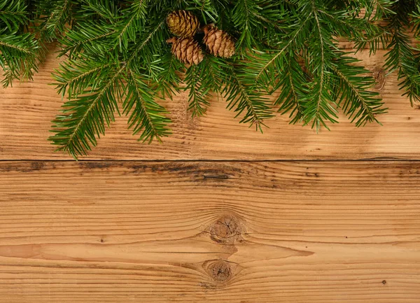 Sluiten Van Verse Groene Sparren Dennen Kerstboomtakken Met Kegels Bruine — Stockfoto