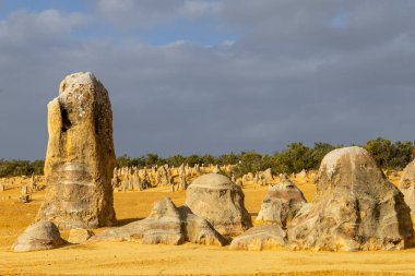 Zirveler Çölü oluşumları, Nambung Ulusal Parkı Batı Avustralya