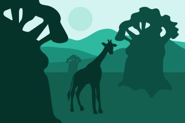 Afrika yatay, baobabs ve yürüyen zürafa