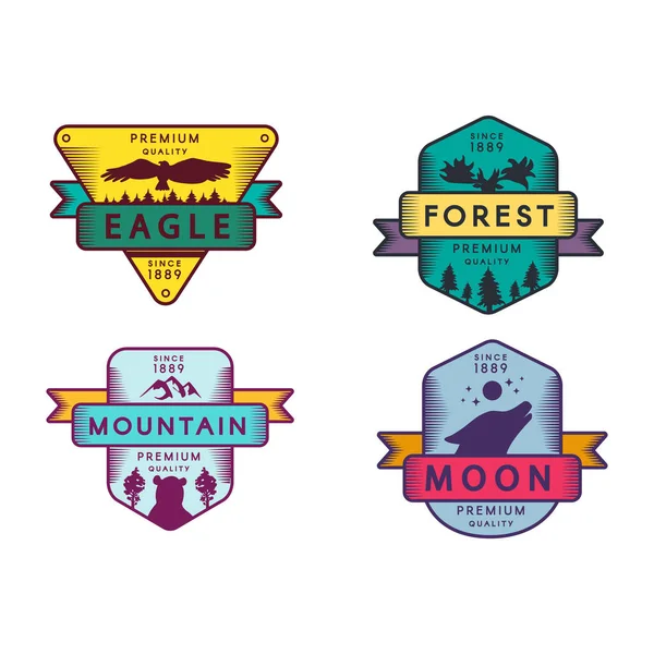 Eagle Forest Moon Mountain Badges Set Logo Inglés Colorido Surtido — Vector de stock